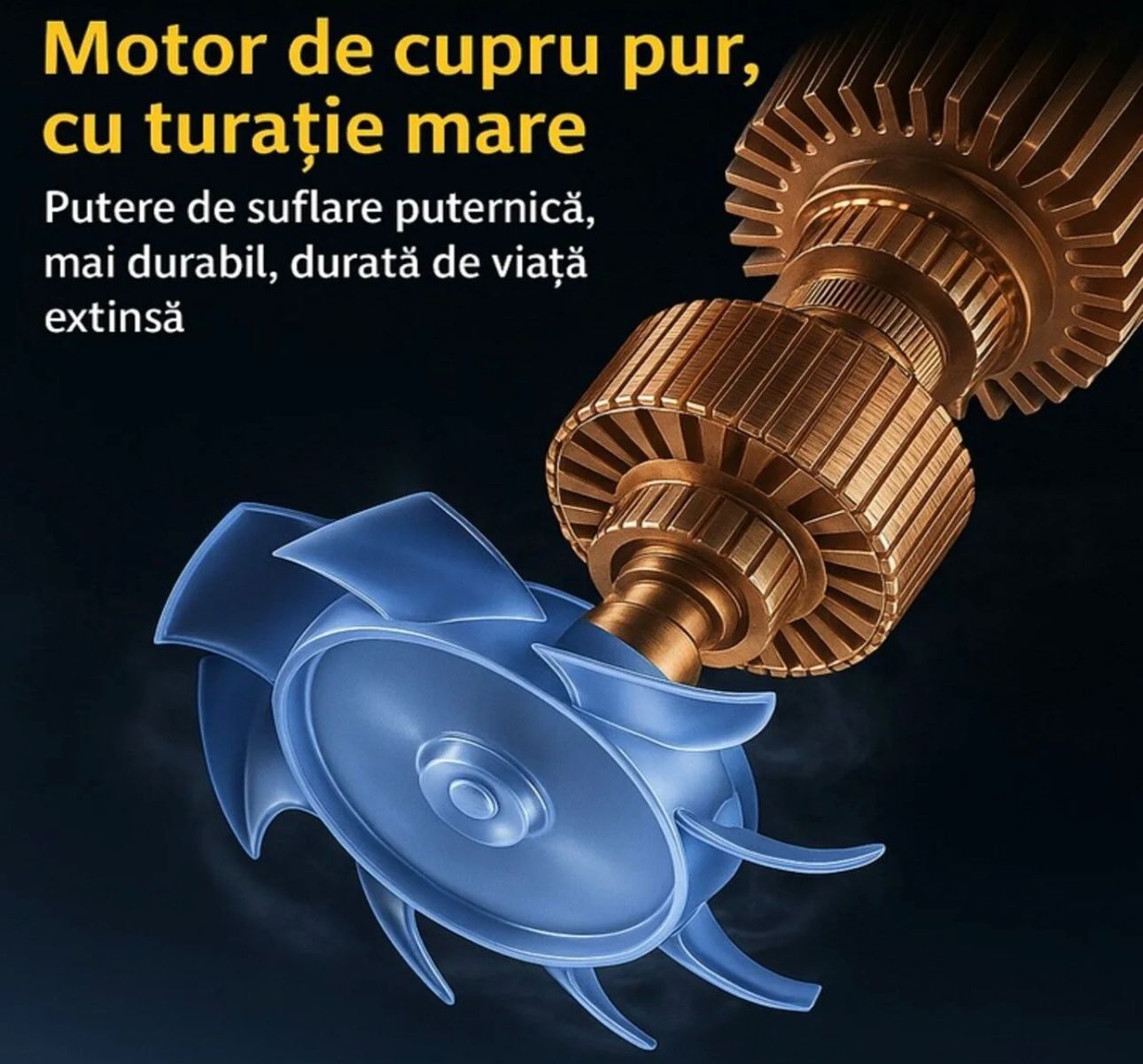 Suflanta aer profesionala portabila, indepartare apa, praf si zapada, 555 metri cubi negru, cu 2 acumulatori 48V + Acumulator Universal 48V