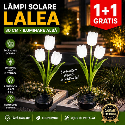 Lampă Solară de Grădină | 1+1 | Tip Lalea LED Alb – 30 cm, 30 lm, Iluminare Decorativă Exterior, Energie Solară