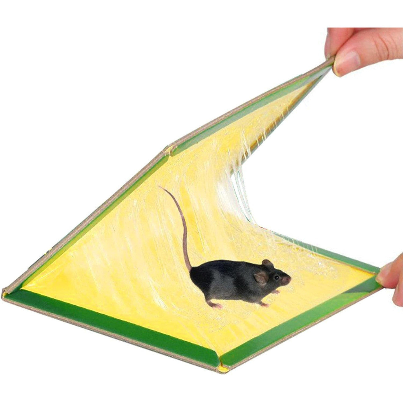 Set 10 Capcane cu Lipici pentru Șoareci și Insecte Tip Carte – Adeziv Puternic, Ușor de Utilizat