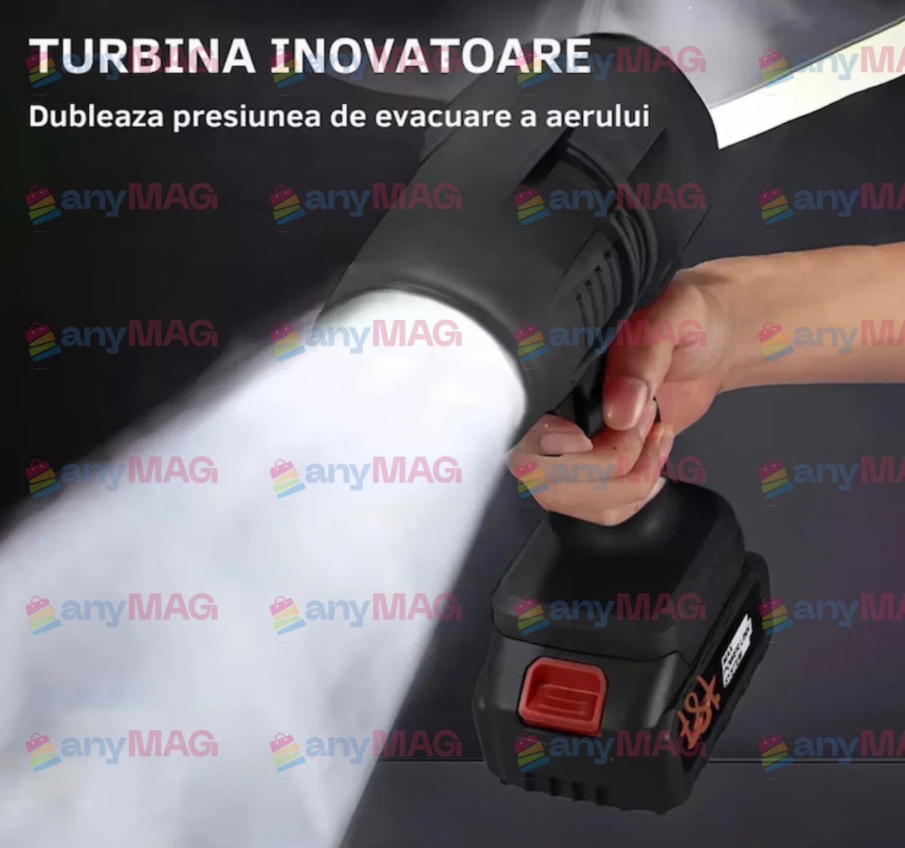 Suflanta aer profesionala portabila, indepartare apa, praf si zapada, 555 metri cubi negru, cu 2 acumulatori 48V + Acumulator Universal 48V F